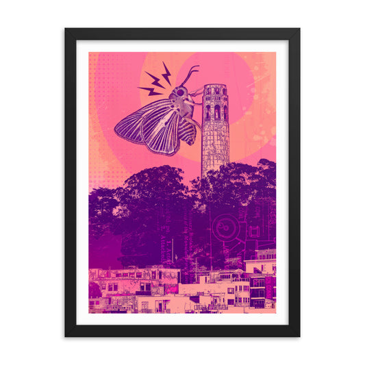 Coit Tower Moth