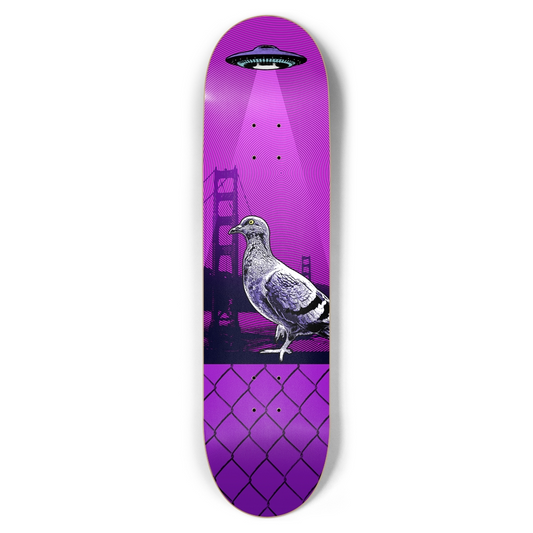 Golden Gate Visitors